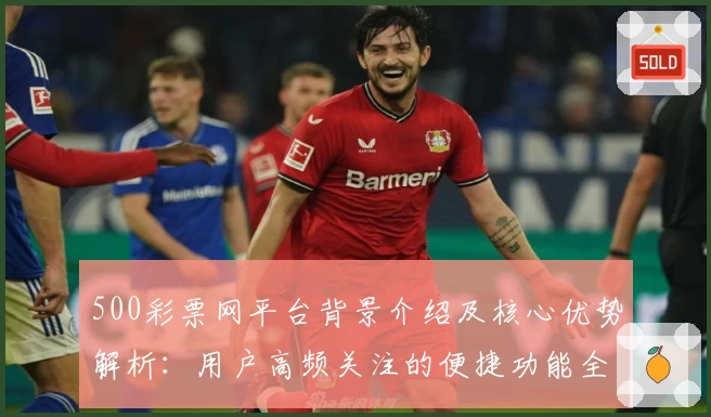 500彩票网平台背景介绍及核心优势解析：用户高频关注的便捷功能全面剖析