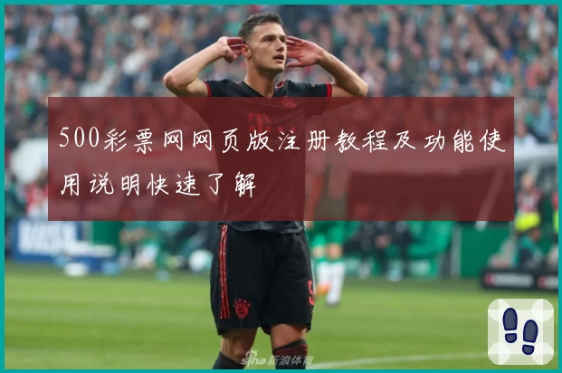500彩票网网页版注册教程及功能使用说明快速了解
