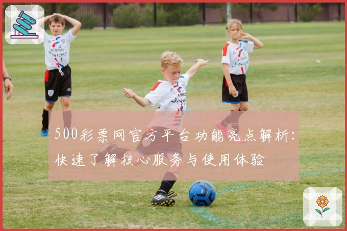 500彩票网官方平台功能亮点解析:快速了解核心服务与使用体验